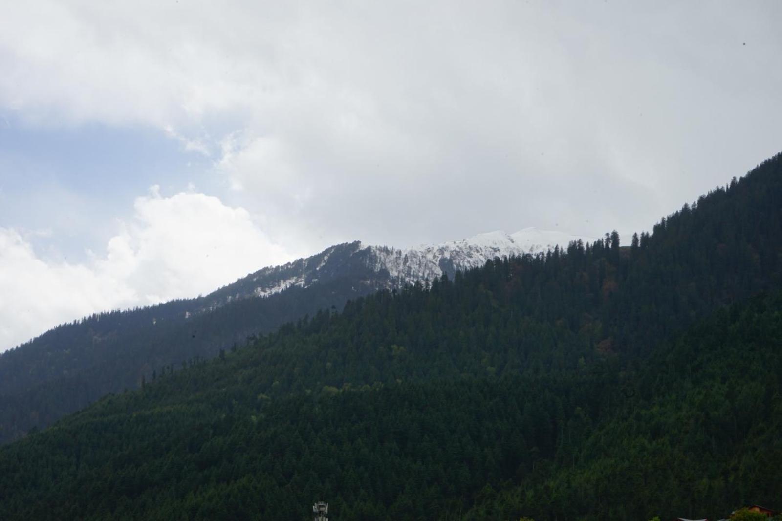 Hotel Magnolia Mallroad Manali エクステリア 写真